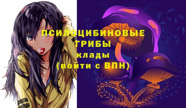молекула духа Армянск