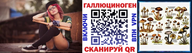 купить наркотики сайты  Новороссийск  Псилоцибиновые грибы ЛСД 